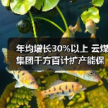 年均增长30%以上 云煤集团千方百计扩产能保
