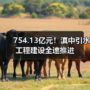 754.13亿元!滇中引水工程建设全速推进(图4) 754.13亿元!滇中引水工程建设全速推进(图4)