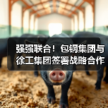 强强联合！包钢集团与徐工集团签署战略合作协议