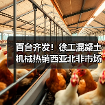 百台齐发！徐工混凝土机械热销西亚北非市场