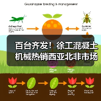 百台齐发!徐工混凝土机械热销西亚北非市场(图3) 百台齐发!徐工混凝土机械热销西亚北非市场(图3)
