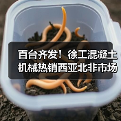 百台齐发!徐工混凝土机械热销西亚北非市场(图4) 百台齐发!徐工混凝土机械热销西亚北非市场(图4)