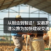 从制造到智造!安徽高速公路为加快建设交通强国提供助力 从制造到智造!安徽高速公路为加快建设交通强国提供助力