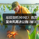 总投资约303亿！宜昌至来凤高速公路�舅�河大桥贯通