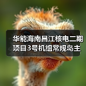 华能海南昌江核电二期项目3号机组常规岛主行车吊装就位 华能海南昌江核电二期项目3号机组常规岛主行车吊装就位