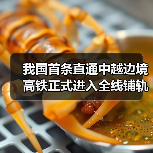 我国首条直通中越边境高铁正式进入全线铺轨阶段! 我国首条直通中越边境高铁正式进入全线铺轨阶段!