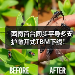 西南首台同步平导多支护敞开式TBM下线! 西南首台同步平导多支护敞开式TBM下线!