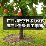 广西以数字技术力促传统产业升级 柳工集团构建“智能制造”
