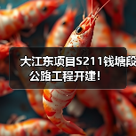 大江东项目S211钱塘段公路工程开建!(图3) 大江东项目S211钱塘段公路工程开建!(图3)