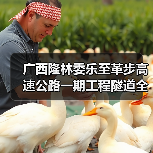 广西隆林委乐至革步高速公路一期工程隧道全部贯通(图2) 广西隆林委乐至革步高速公路一期工程隧道全部贯通(图2)