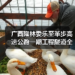 广西隆林委乐至革步高速公路一期工程隧道全部贯通(图3) 广西隆林委乐至革步高速公路一期工程隧道全部贯通(图3)