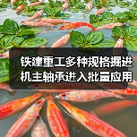 铁建重工多种规格掘进机主轴承进入批量应用阶段! 铁建重工多种规格掘进机主轴承进入批量应用阶段!