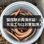 强强联合再谱新篇!山东临工与江苏某集团大客户挖掘机交机(图3) 强强联合再谱新篇!山东临工与江苏某集团大客户挖掘机交机(图3)