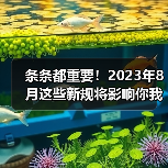条条都重要!2023年8月这些新规将影响你我生活(图3) 条条都重要!2023年8月这些新规将影响你我生活(图3)