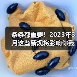 条条都重要！2023年8月这些新规将影响你我生活