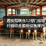 西安局联合12部门印发村级综合服务设施提升工程方案(图2) 西安局联合12部门印发村级综合服务设施提升工程方案(图2)