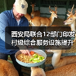 西安局联合12部门印发村级综合服务设施提升工程方案(图3) 西安局联合12部门印发村级综合服务设施提升工程方案(图3)