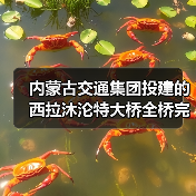 内蒙古交通集团投建的西拉沐沦特大桥全桥完成合龙！