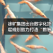 徐矿集团出台数字化顶层规划致力打造“数智徐矿”(图4) 徐矿集团出台数字化顶层规划致力打造“数智徐矿”(图4)