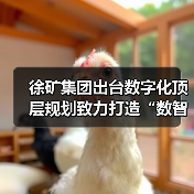 徐矿集团出台数字化顶层规划致力打造“数智徐矿”(图2) 徐矿集团出台数字化顶层规划致力打造“数智徐矿”(图2)