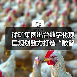 徐矿集团出台数字化顶层规划致力打造“数智徐矿”(图3) 徐矿集团出台数字化顶层规划致力打造“数智徐矿”(图3)