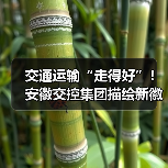 交通运输“走得好”！安徽交控集团描绘新徽道“皖美”图景