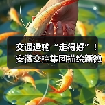 交通运输“走得好”!安徽交控集团描绘新徽道“皖美”图景(图2) 交通运输“走得好”!安徽交控集团描绘新徽道“皖美”图景(图2)