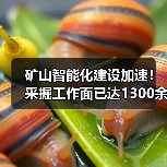 矿山智能化建设加速！采掘工作面已达1300余个