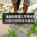 滇藏铁路丽江至香格里拉段20座隧道全部完成施工!(图4) 滇藏铁路丽江至香格里拉段20座隧道全部完成施工!(图4)