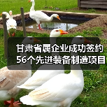 甘肃省属企业成功签约56个先进装备制造项目！
