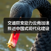 交通巨变助力云南加速推进中国式现代化建设！