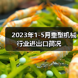 2023年1-5月重型机械行业进出口简况(图4) 2023年1-5月重型机械行业进出口简况(图4)