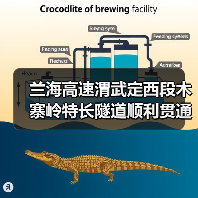 兰海高速渭武定西段木寨岭特长隧道顺利贯通