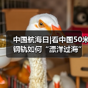 中国航海日|看中国50米钢轨如何“漂洋过海”走向欧洲