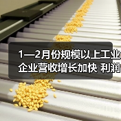 1—2月份规模以上工业企业营收增长加快 利润略有下降（图2）