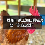 发车!徐工港口机械奔赴“东方之珠”(图2) 发车!徐工港口机械奔赴“东方之珠”(图2)