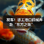 发车!徐工港口机械奔赴“东方之珠”(图4) 发车!徐工港口机械奔赴“东方之珠”(图4)