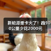 新能源重卡火了!跑900公里少花2000元(图2) 新能源重卡火了!跑900公里少花2000元(图2)