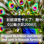 新能源重卡火了！跑900公里少花2000元