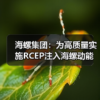 海螺集团：为高质量实施RCEP注入海螺动能