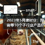 2023年5月建材业：陶瓷等10个子行业产品价格环比上涨