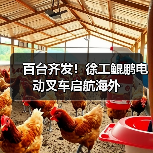 百台齐发!徐工鲲鹏电动叉车启航海外(图4) 百台齐发!徐工鲲鹏电动叉车启航海外(图4)