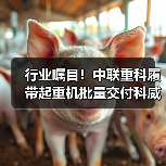 行业瞩目!中联重科履带起重机批量交付科威特(图3) 行业瞩目!中联重科履带起重机批量交付科威特(图3)