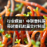 行业瞩目!中联重科履带起重机批量交付科威特(图2) 行业瞩目!中联重科履带起重机批量交付科威特(图2)
