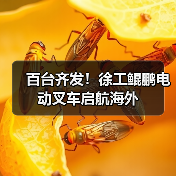 百台齐发!徐工鲲鹏电动叉车启航海外(图1) 百台齐发!徐工鲲鹏电动叉车启航海外(图1)