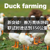 新突破!雅万高铁联调联试时速达到350公里(图3) 新突破!雅万高铁联调联试时速达到350公里(图3)