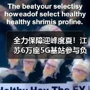 全力保障迎峰度夏！江苏6万座5G基站参与负荷调控（图4）