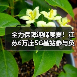 全力保障迎峰度夏！江苏6万座5G基站参与负荷调控（图2）