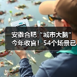 安徽合肥“城市大脑”今年收官!54个场景已完成(图3) 安徽合肥“城市大脑”今年收官!54个场景已完成(图3)