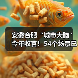 安徽合肥“城市大脑”今年收官!54个场景已完成(图1) 安徽合肥“城市大脑”今年收官!54个场景已完成(图1)